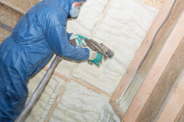 Types of Insulation We Offer in Monee, IL